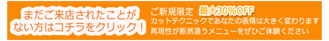 美容室 新八代駅のご新規様限定メニュー 美容室 新八代駅のご新規様限定メニュー