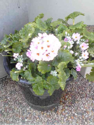 Image0821
