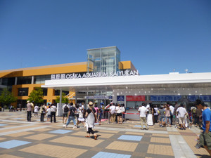 P1000596